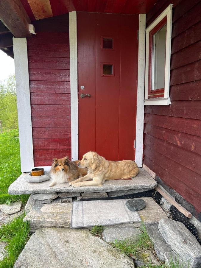 Bua Apartment Viksdalen Luaran gambar